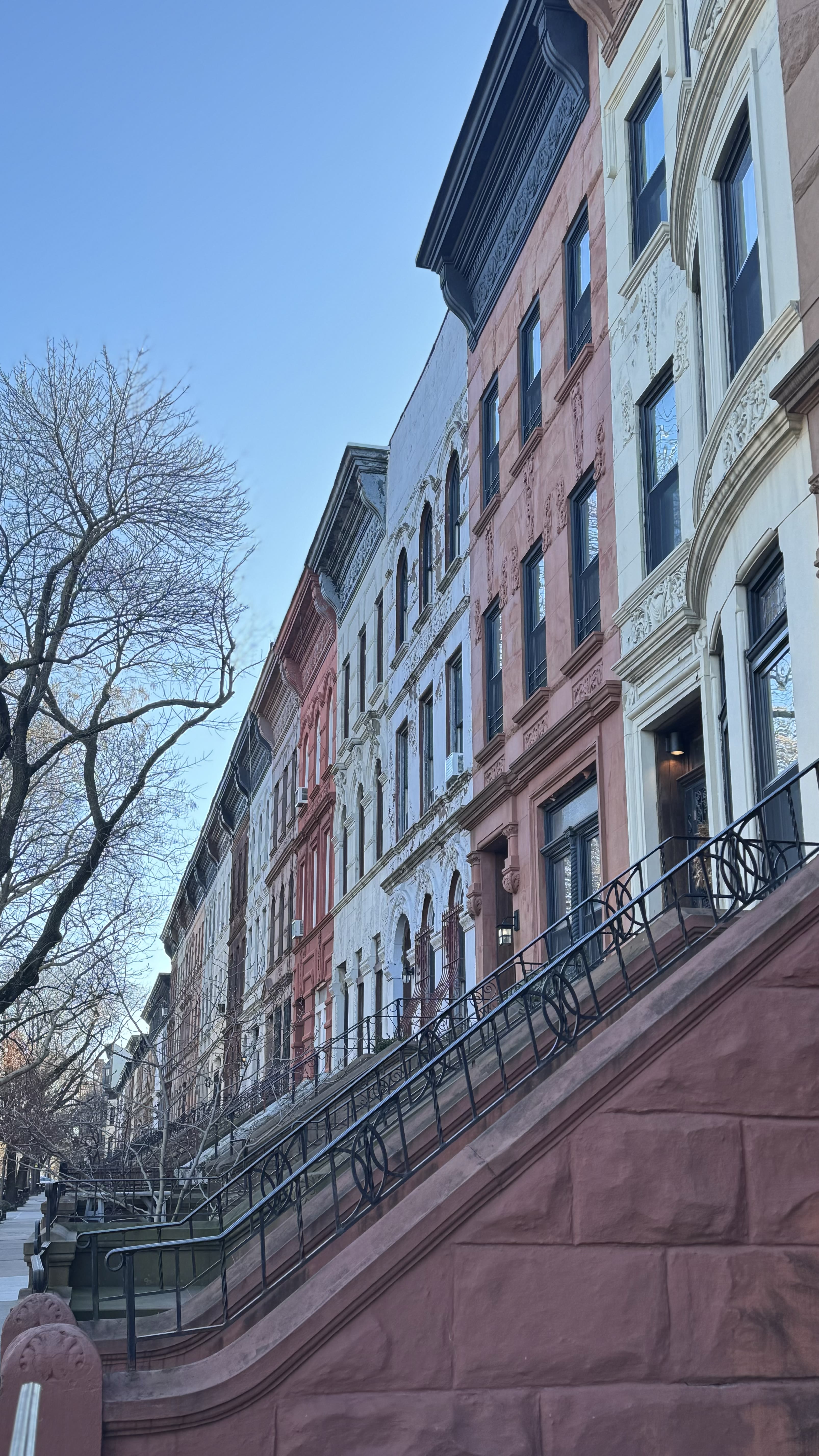 A row of New York brownstones and a tree-lined sidewalk